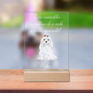 Plachetă Acrilică Personalizată cu nume și mesaj - Bichon