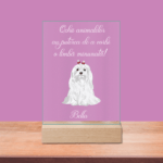 placheta-acrilica-personalizata-mesaj-Bichon-v4