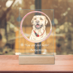 placheta-acrilica-personalizata-mesaj-gold-labrador-V1