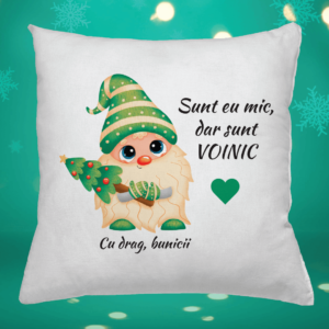Pernă Personalizată cu mesaj - Baby Gnom