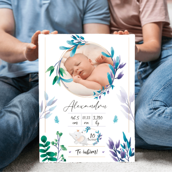 tablou-canvas-personalizat-baby-elephant-V1