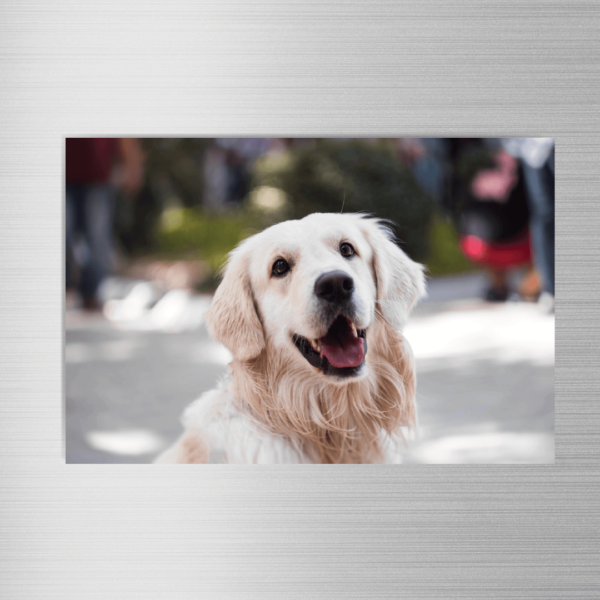 magnet-personalizat-1-poza-landscape-V1