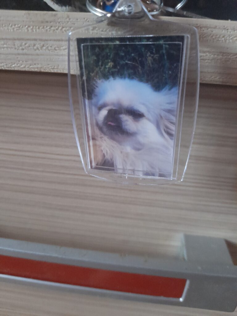 Image #3 from Mona Ardelean