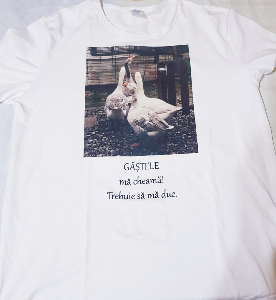 Image #1 from Georgiana F.