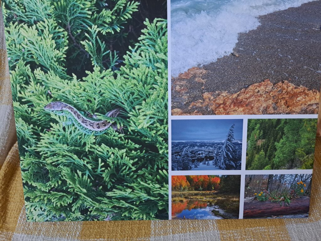 Image #1 from Oana Emilia Moldovan