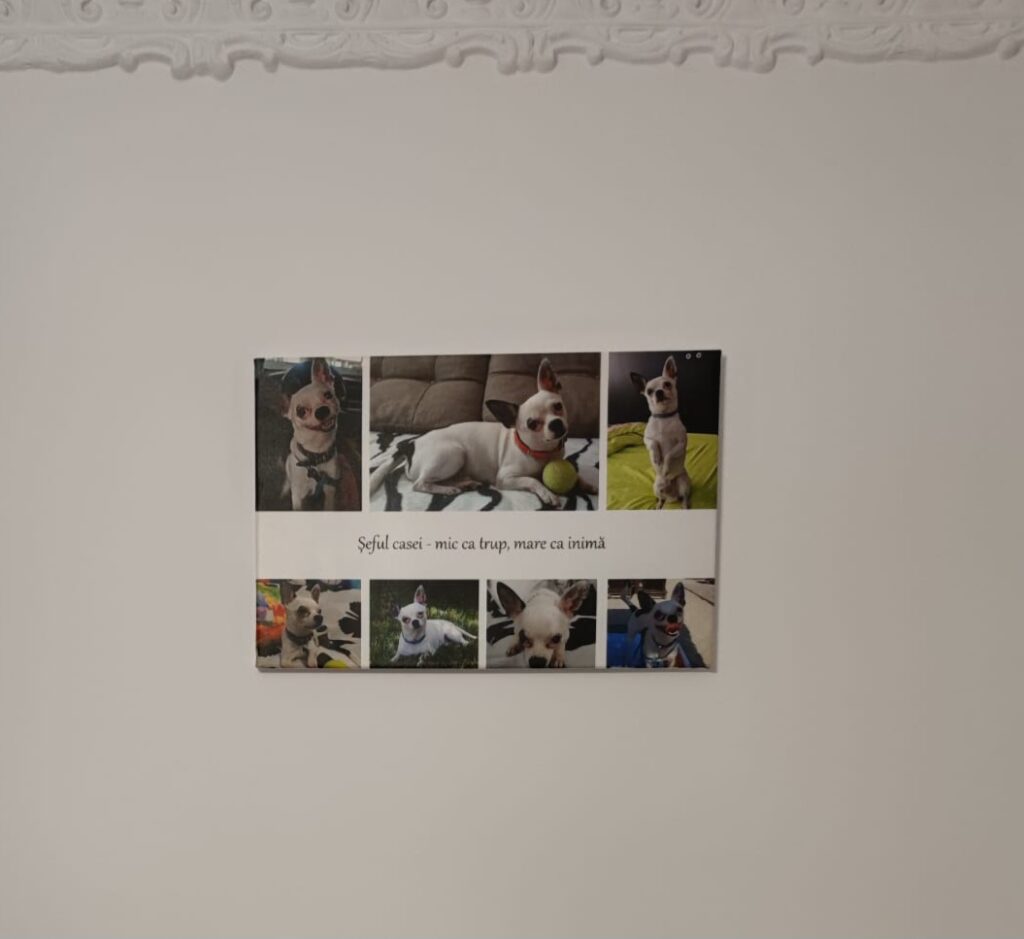 Image #2 from Marina